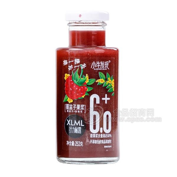 小牛发现 覆盆子果浆 果汁饮料 玻璃瓶果汁新品上市252g